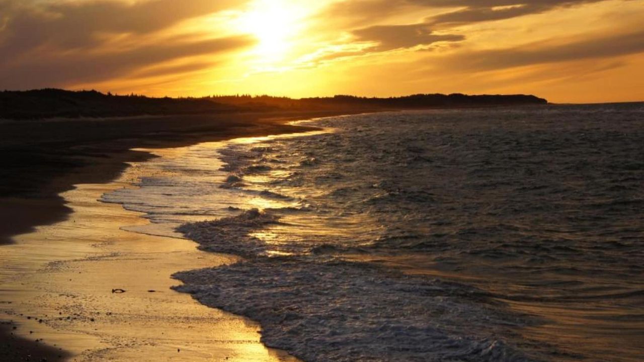 AreaSummer1KM AreaSummer1KM